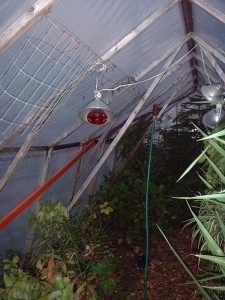 joes greenhouse interior