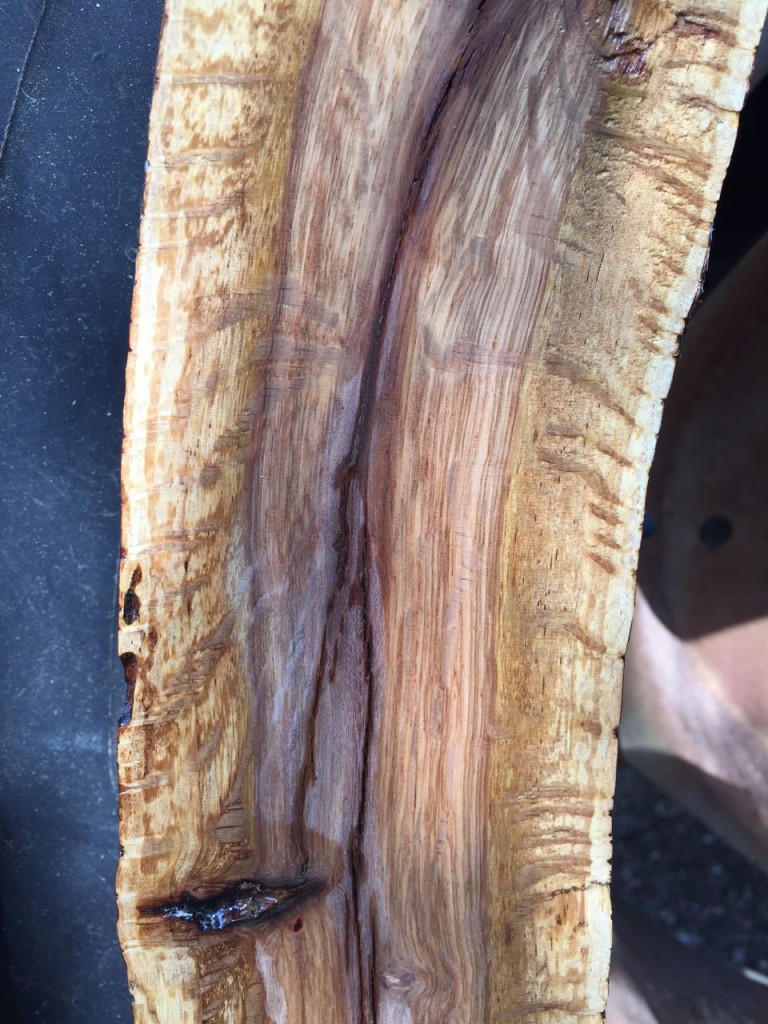 closeup of a planed live oak slab