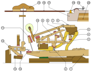 diagram of a grand piano action