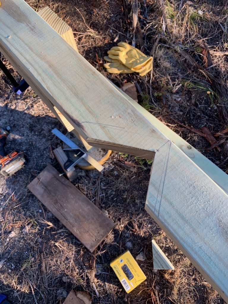 photo of a "bird's mouth" cut