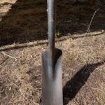 photo of a Sewer Trenching Shovel