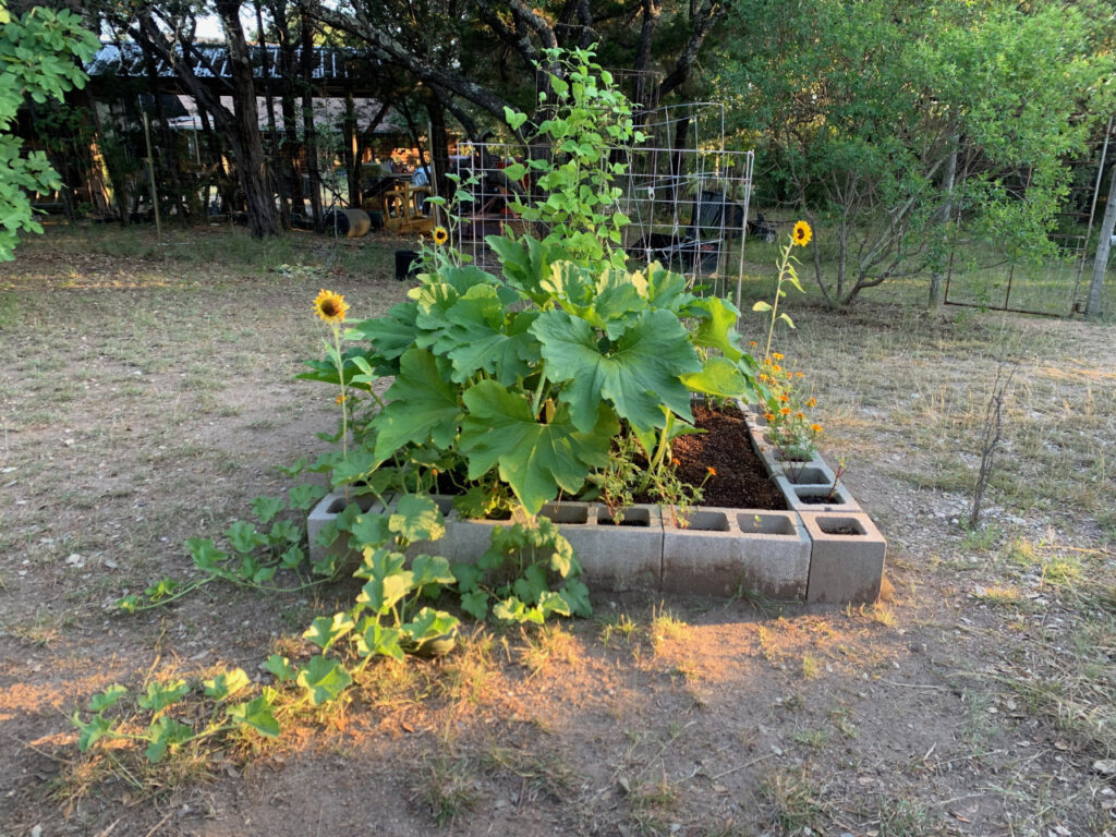 photo of My Square Foot Garden