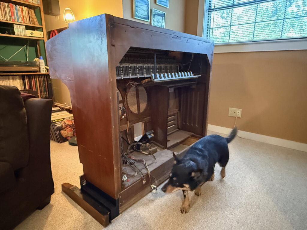 photo of Mr. Miles (our dog) inspecting the virtual pipe organ console
